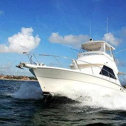 Riviera 37 | Gone Dog