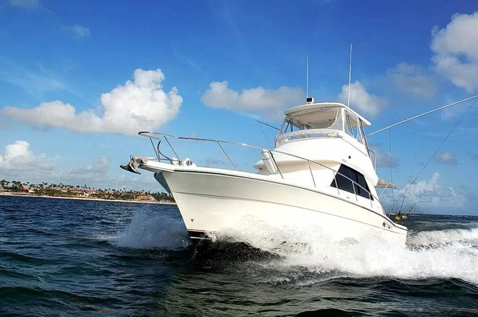 Riviera 37 | Gone Dog