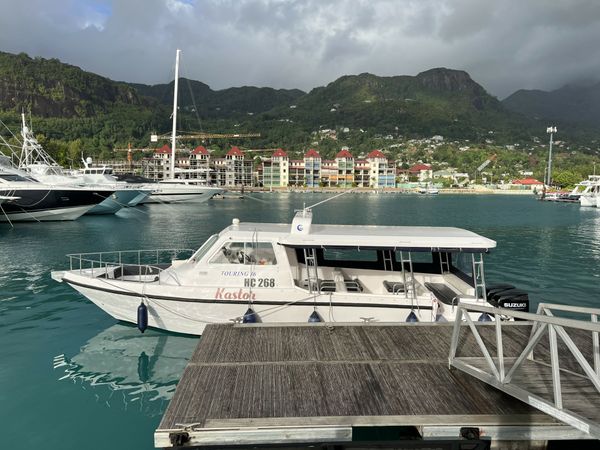 Gulf Craft 36 | Kastor