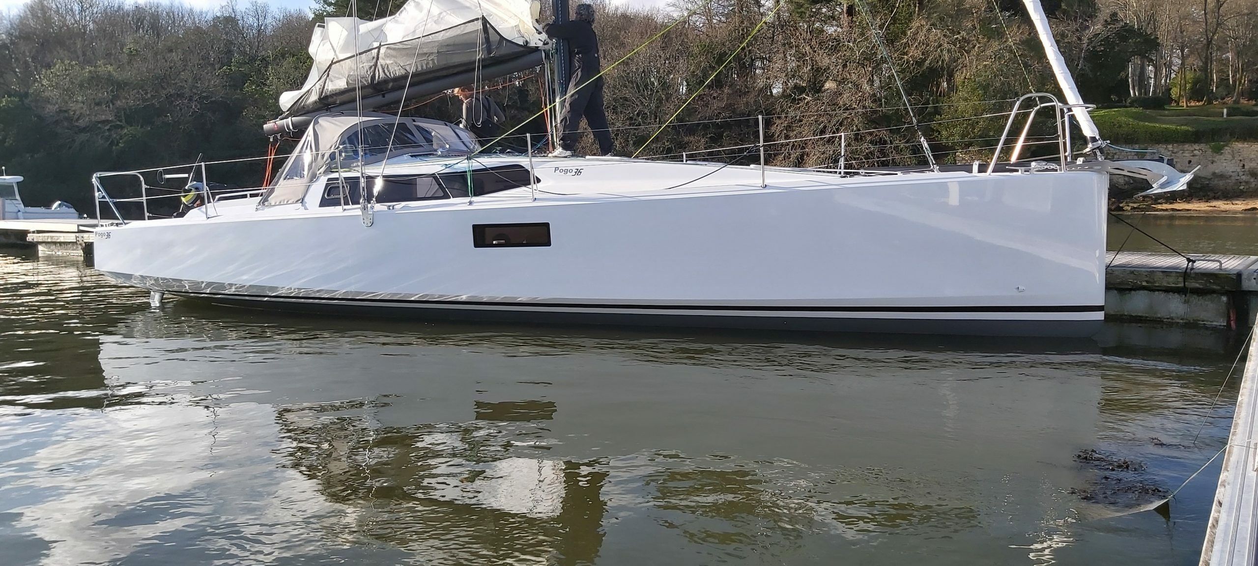 Pogo 36 | Little Wing