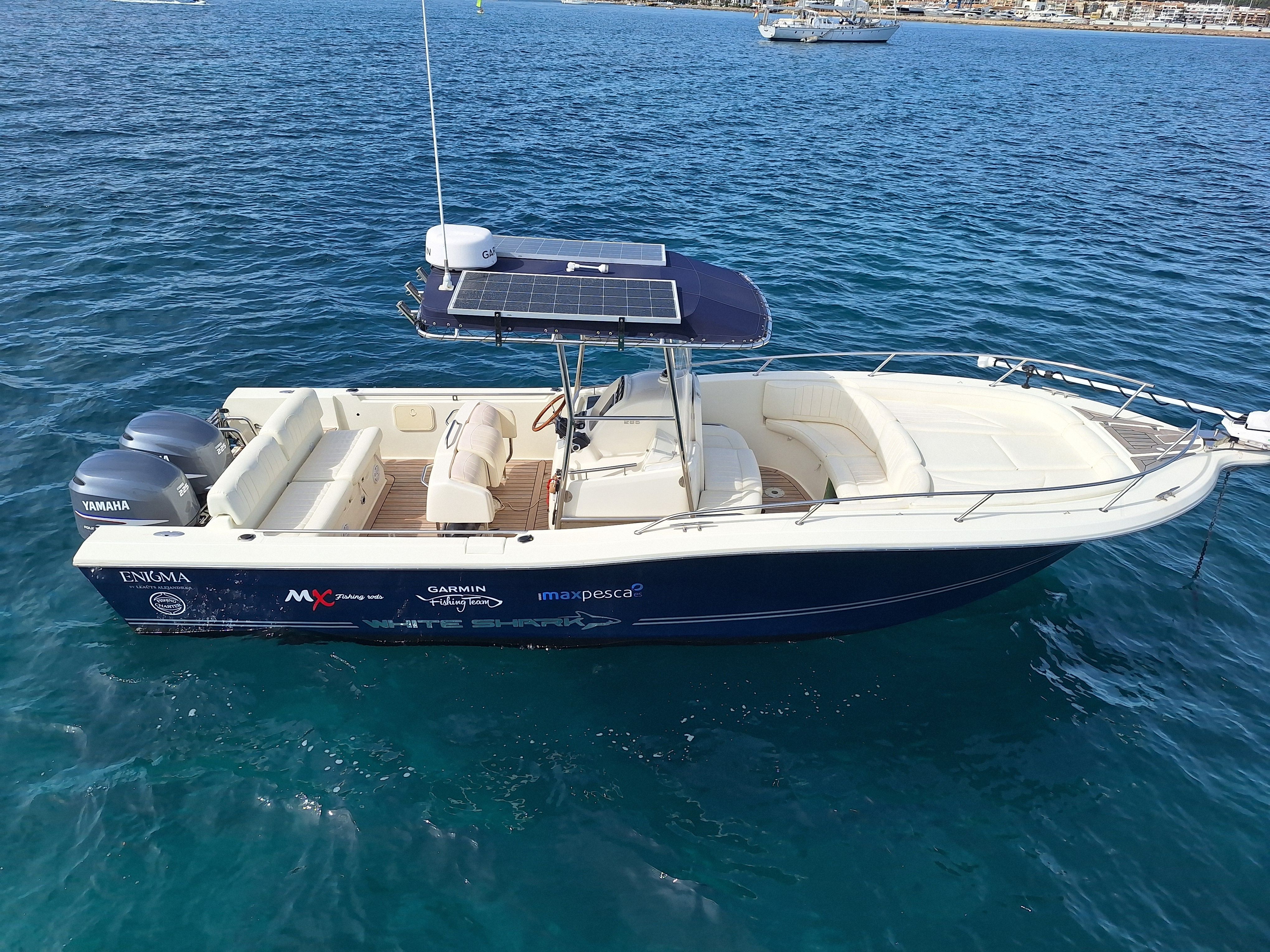 White Shark 285 | Enigma