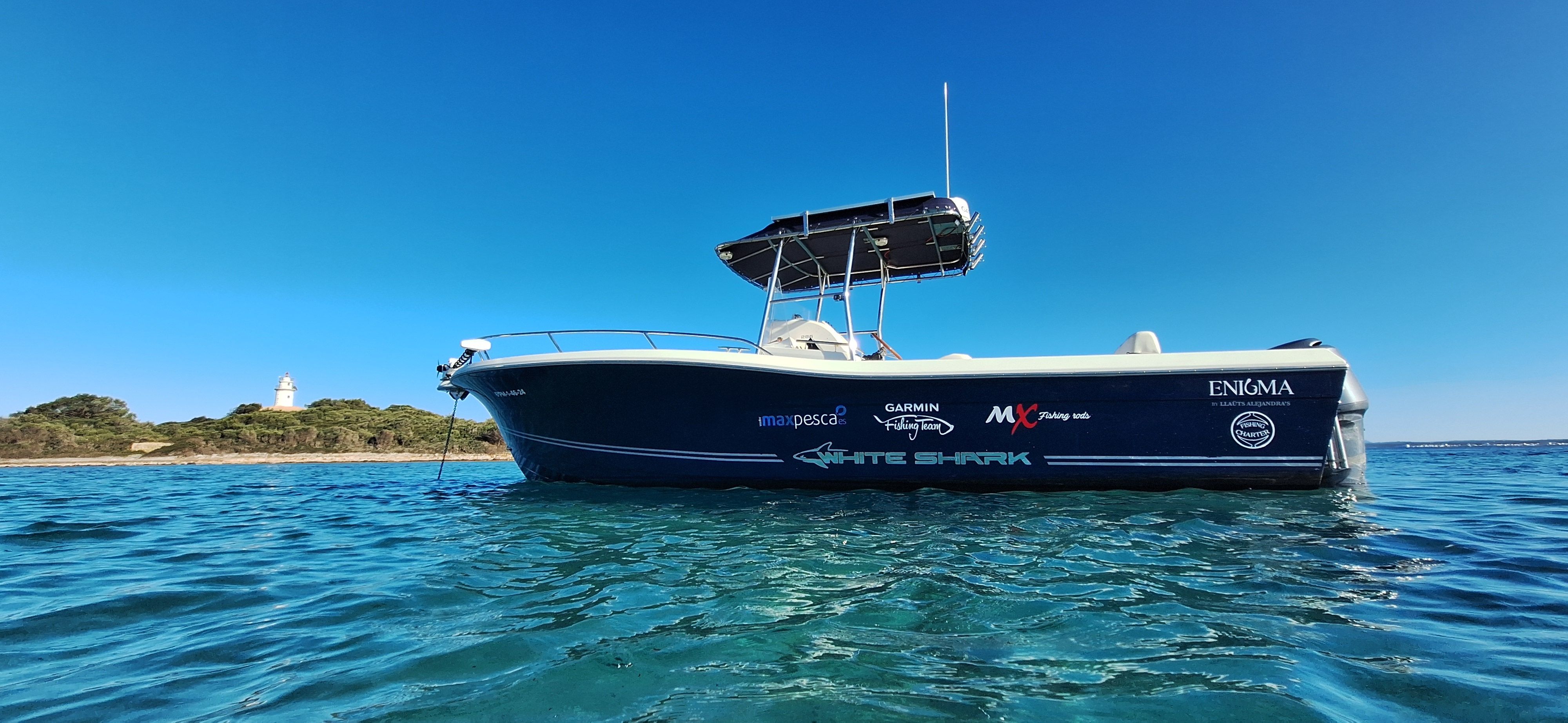 White Shark 285 | Enigma