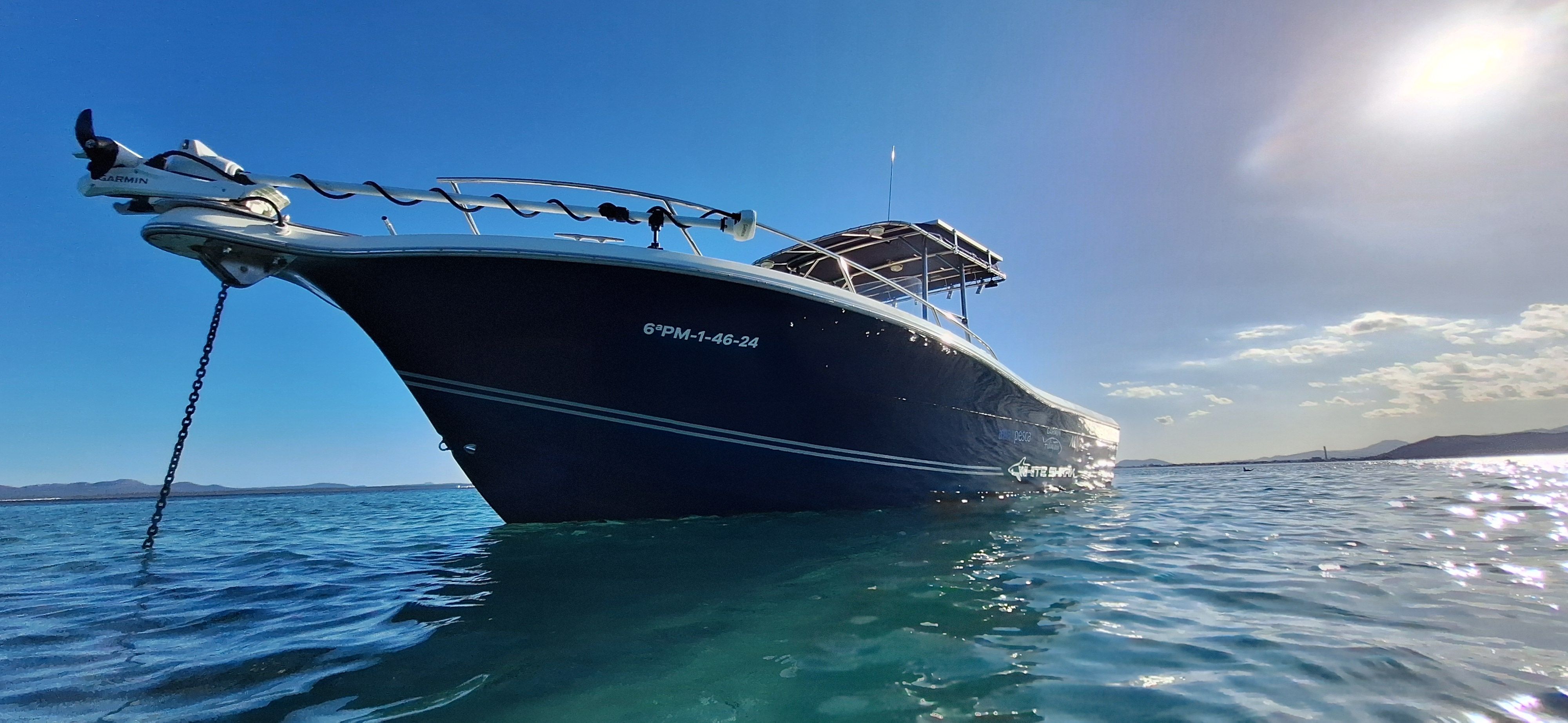 White Shark 285 | Enigma