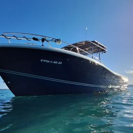 White Shark 285 | Enigma