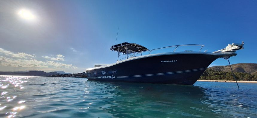 White Shark 285 | Enigma