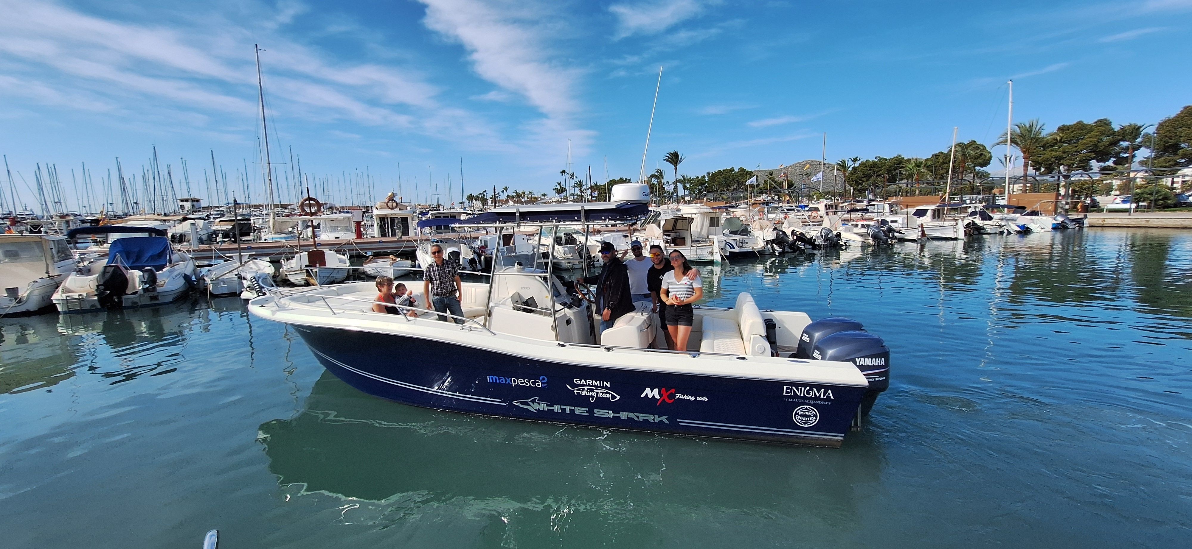 White Shark 285 | Enigma