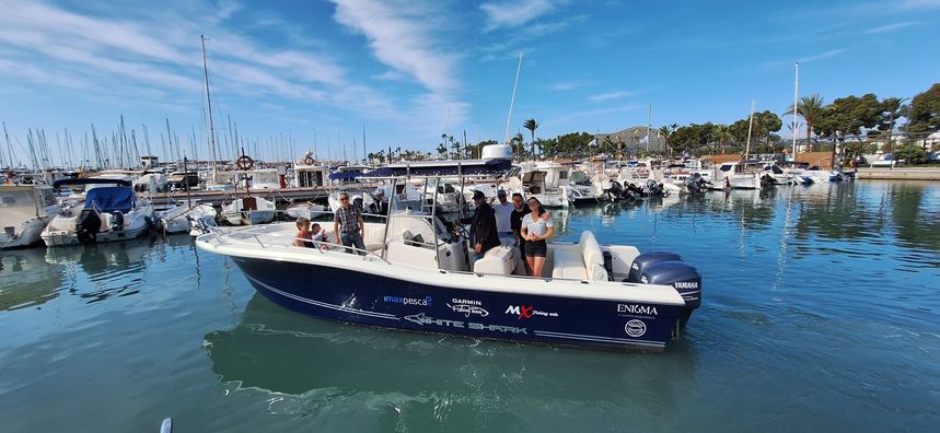 White Shark 285 | Enigma