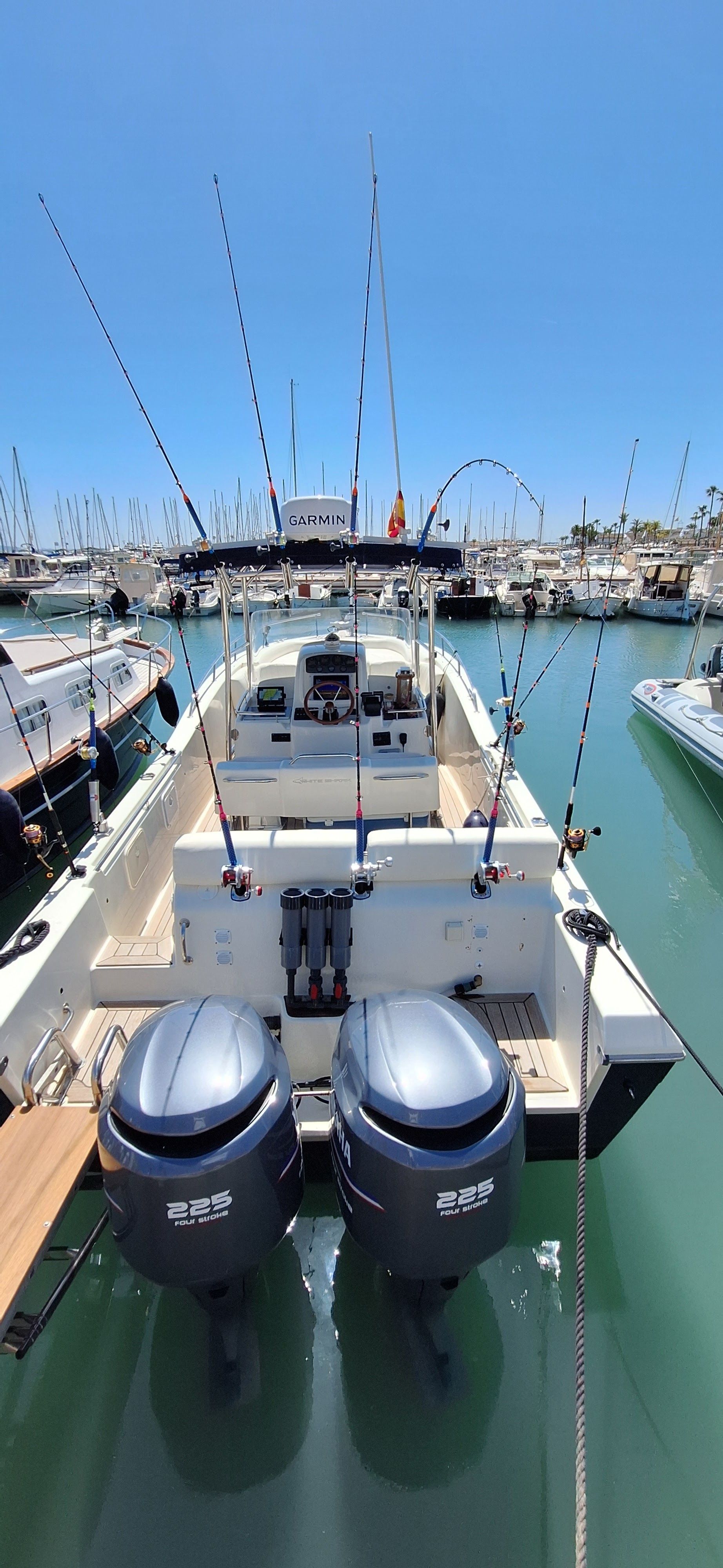 White Shark 285 | Enigma