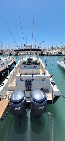 White Shark 285 | Enigma