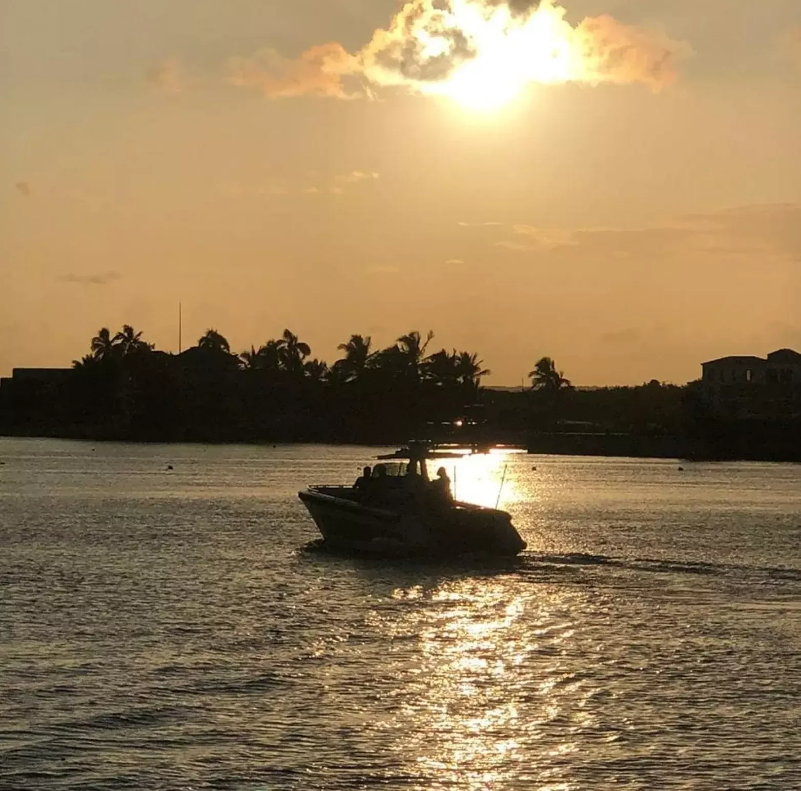 Cerri Tender 36 | Baychimo