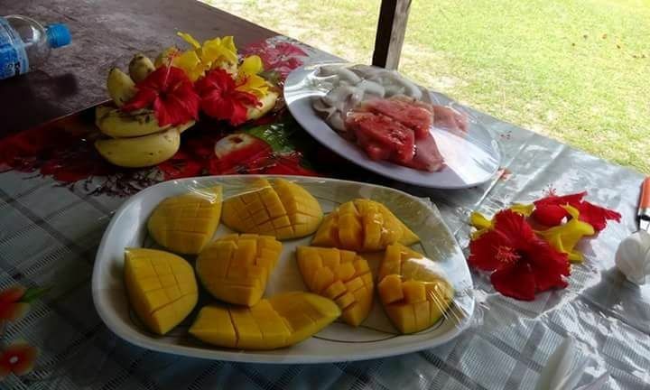 Custom Built 26 | Lady Vivi