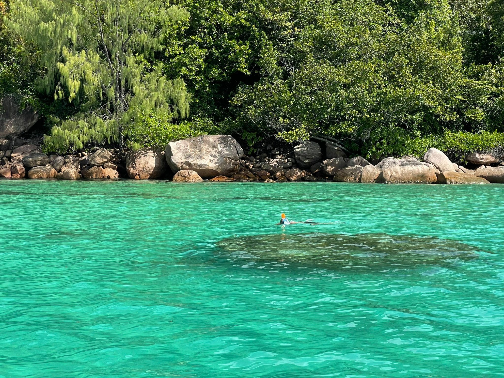 Custom Built 26 | Lady Vivi