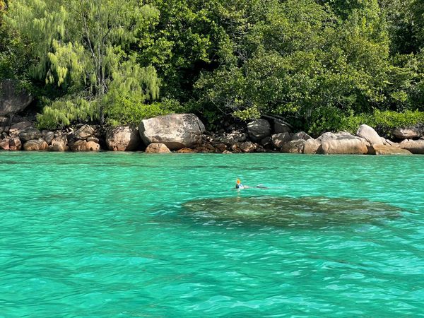 Custom Built 26 | Lady Vivi