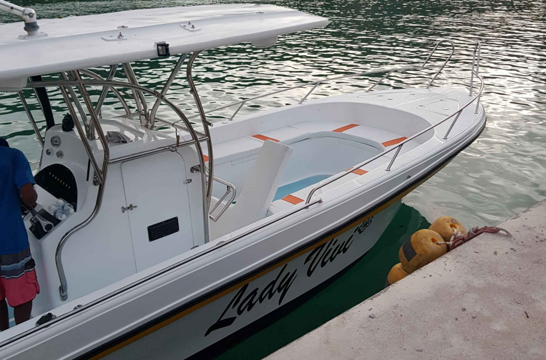 Custom Built 26 | Lady Vivi