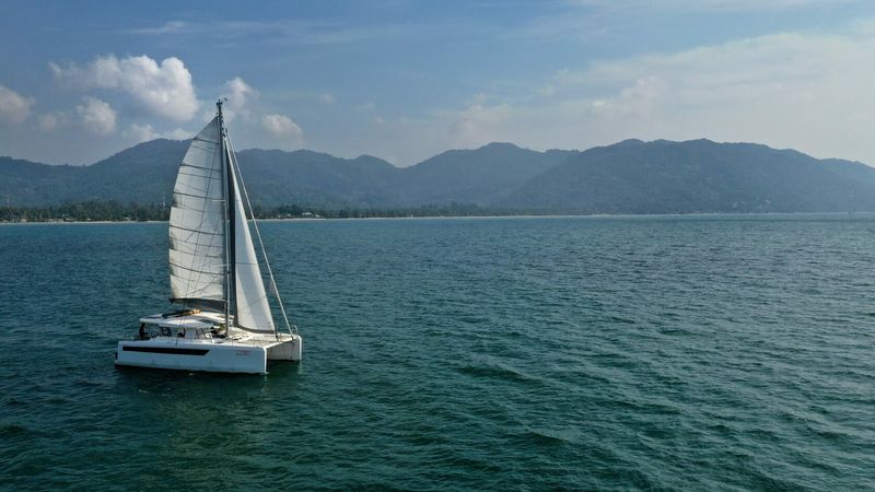 Tropical 36 | C'est La Vie 2