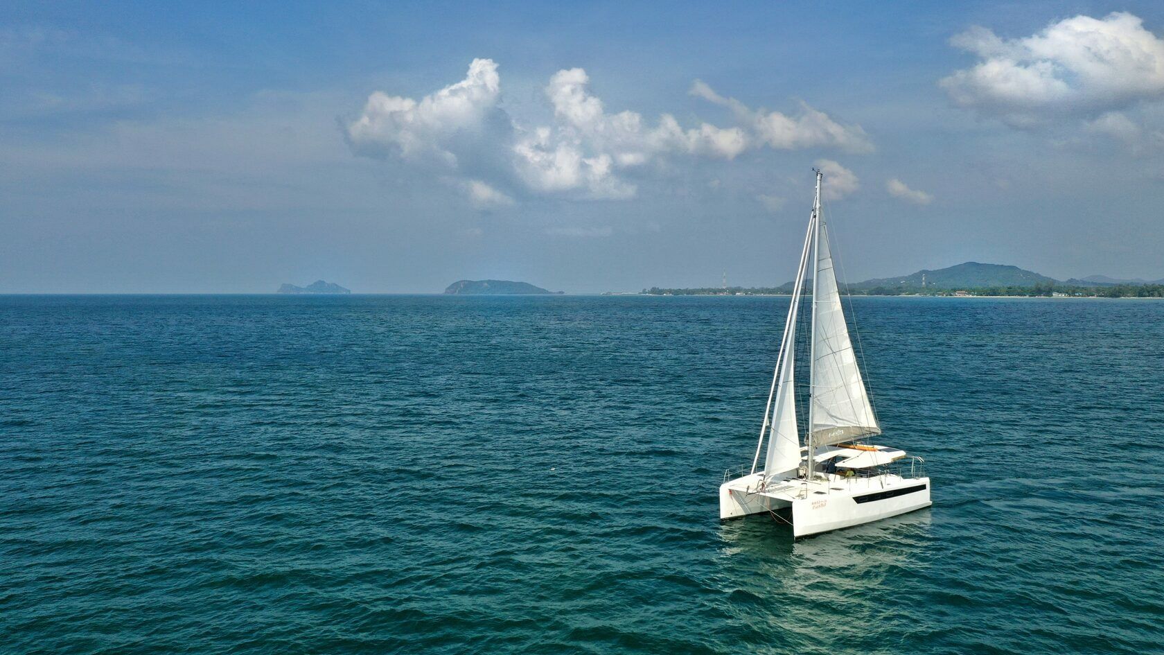 Tropical 36 | C'est La Vie 2