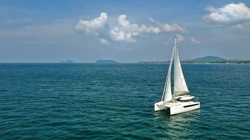 Tropical 36 | C'est La Vie 2