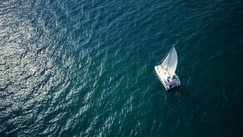 Tropical 36 | C'est La Vie 2