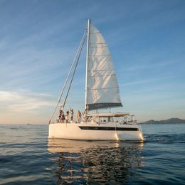 Tropical 36 | C'est La Vie 2