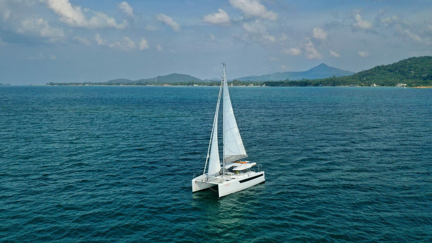 Tropical 36 | C'est La Vie 2