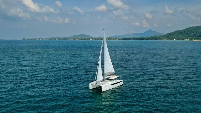 Tropical 36 | C'est La Vie 2