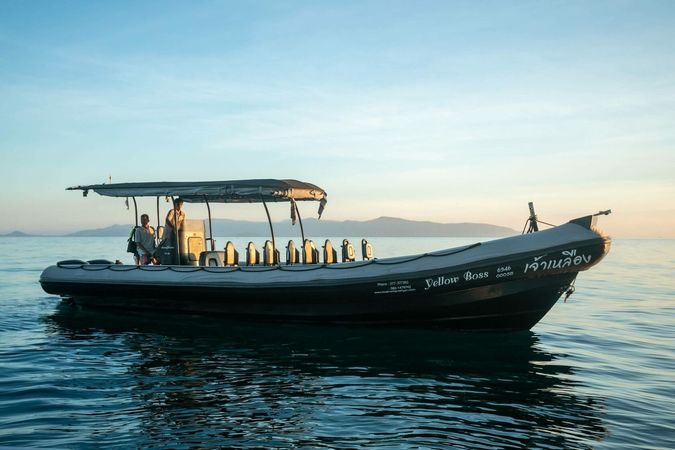 Cholamark 33 | The Boss