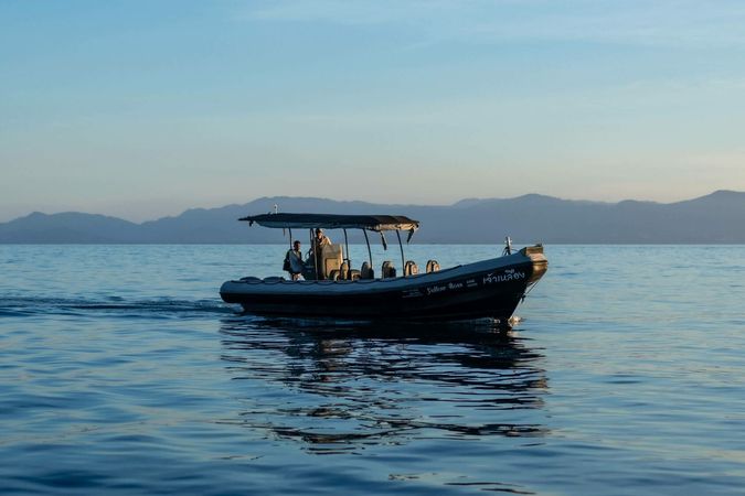 Cholamark 33 | The Boss