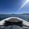 Sunseeker Portofino 53 | Black Pearl