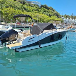 Quicksilver Activ 875 Sundeck | Sun