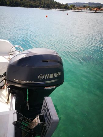 Parydor Y45 | Maria Brina