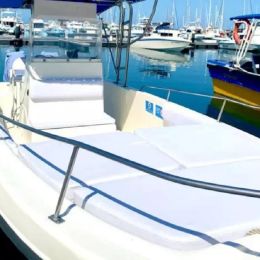 Custom Built 26 | Turpial