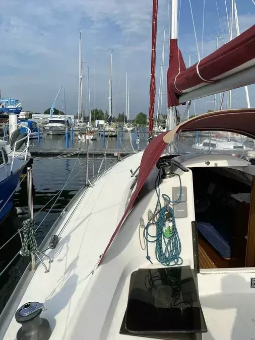 Delphia 28 | Midsummer