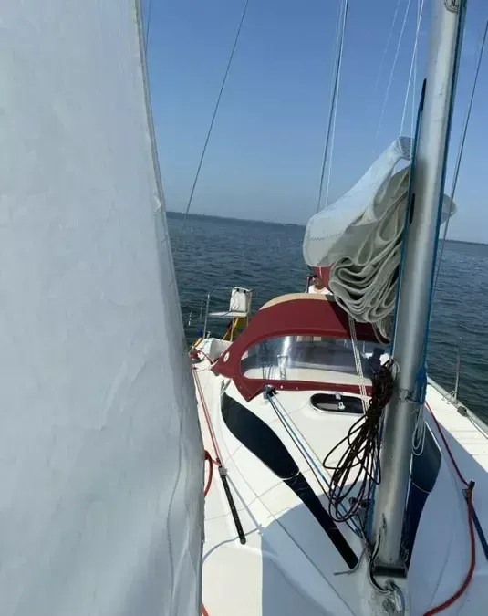 Delphia 28 | Midsummer