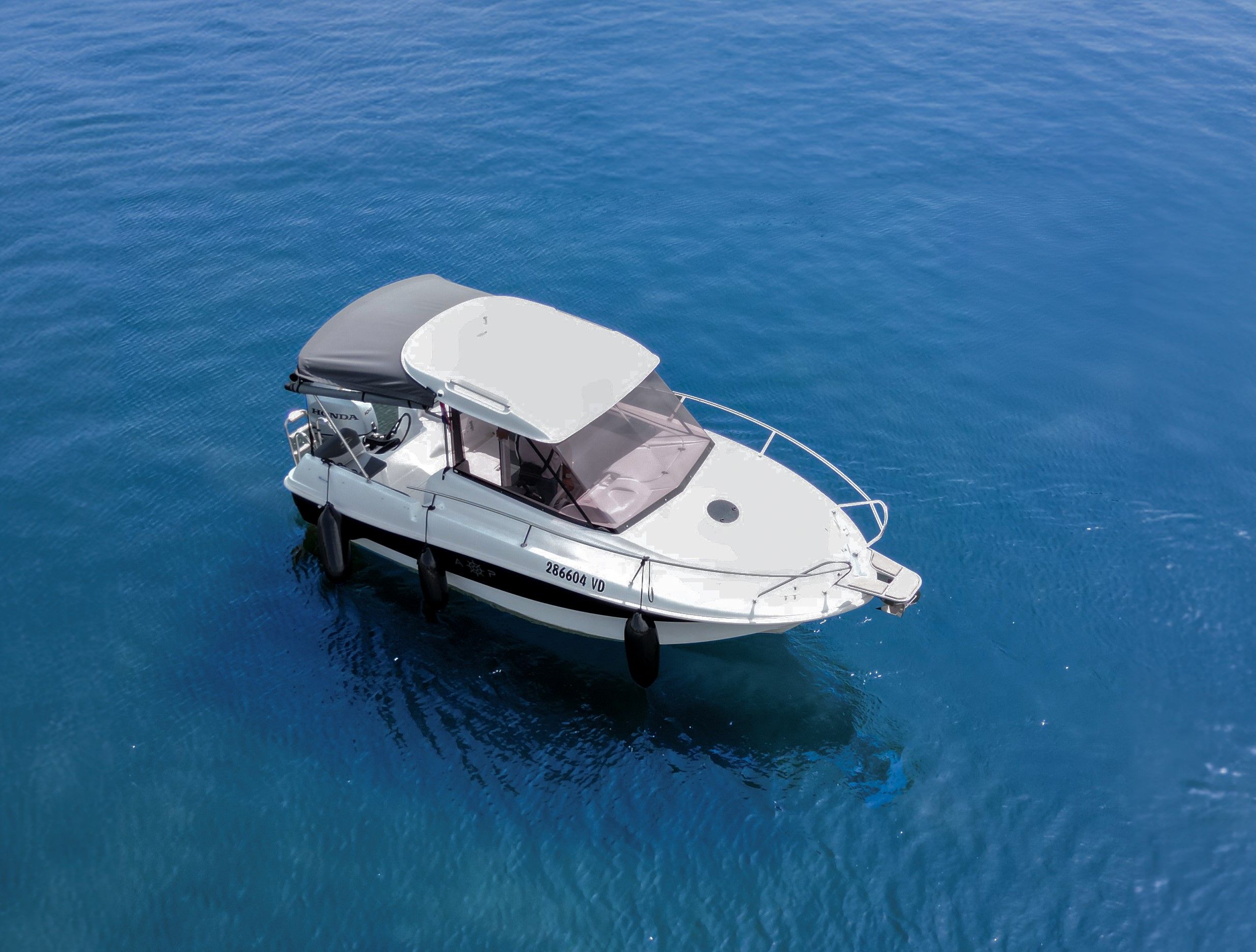 Italmar Timoner 550 | 24