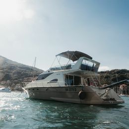 Dellapasqua 11 DC | Elki 4