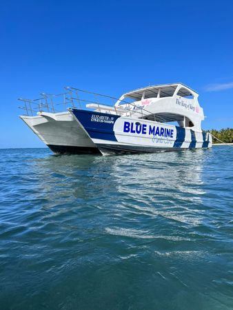 Custom Built 65 | King of Kings