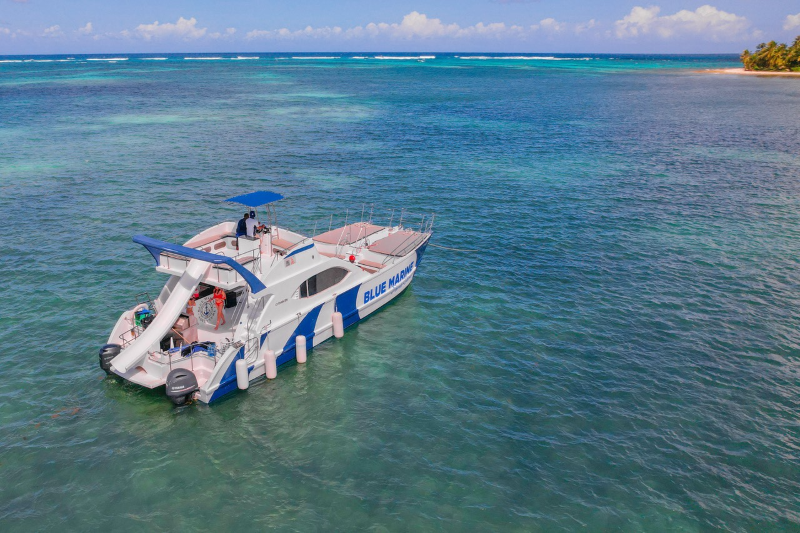 Custom Built 47 | King of the Beach