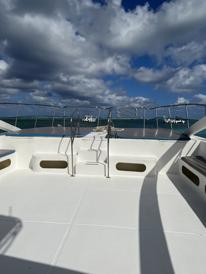 Custom Built 47 | King of the Beach