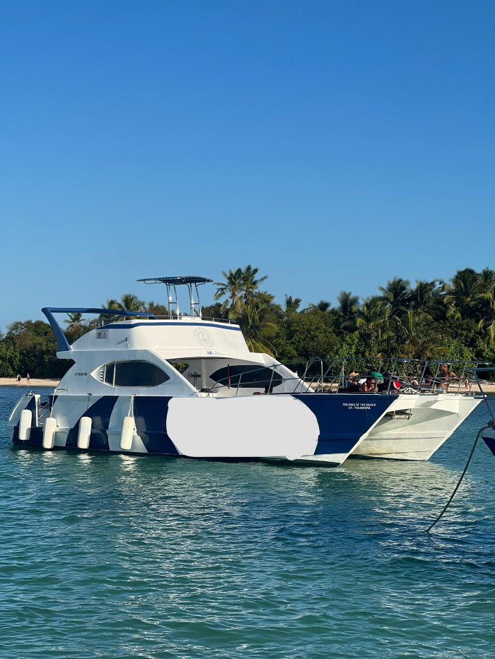 Custom Built 47 | King of the Beach