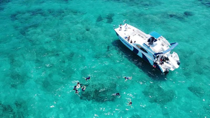 Custom Built 47 | King of the Beach