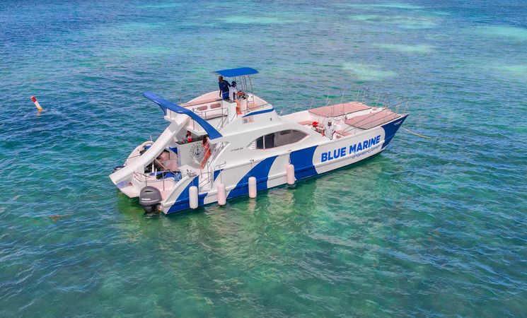 Custom Built 47 | King of the Beach