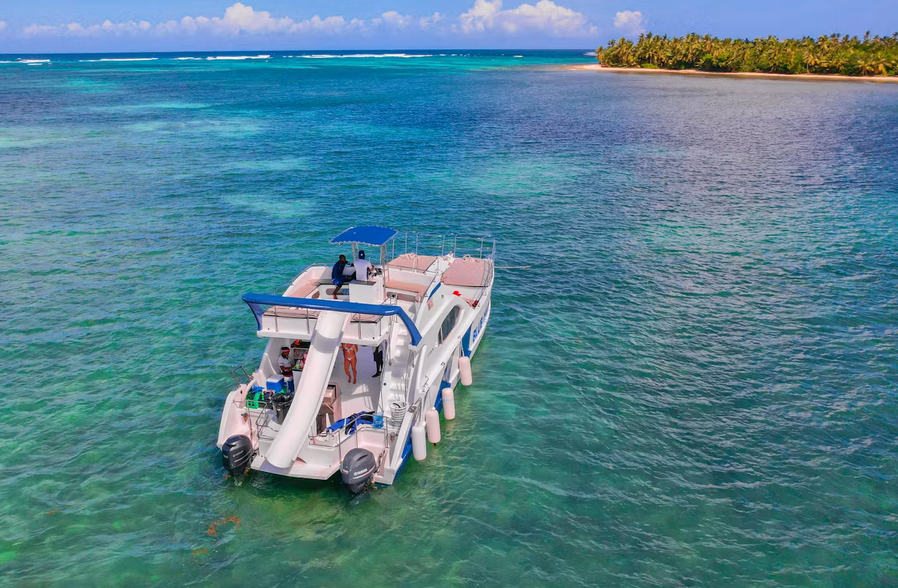 Custom Built 47 | King of the Beach