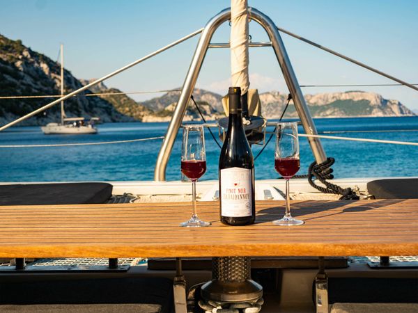 Lagoon 500 | Dome Extreme