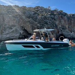 Quarken 27 T-Top | Koi