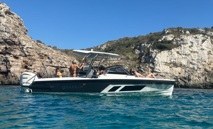 Quarken 27 T-Top | Koi