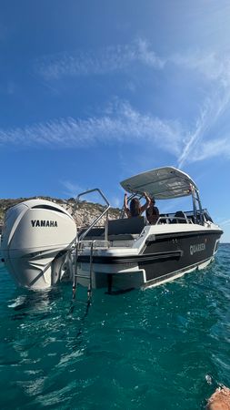 Quarken 27 T-Top | Koi