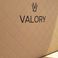 Valory v480 | Valory
