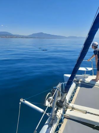 Lagoon 380 | Moby Dick