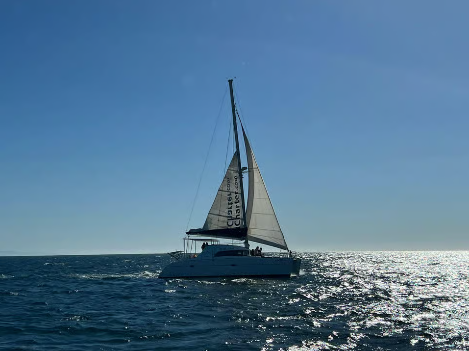 Lagoon 380 | Moby Dick