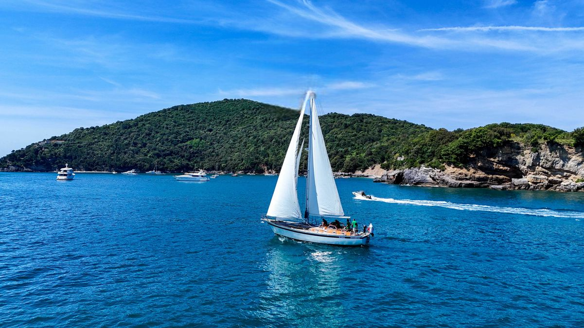 Feltz Skorpion 3 | Sedna